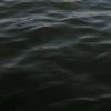 碧罗三浪珊海报
