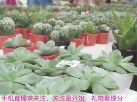 😱……主播照片