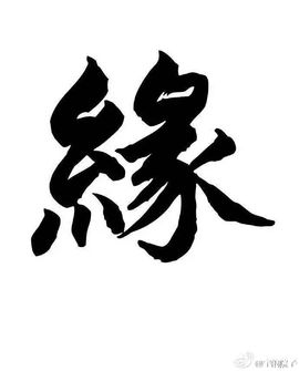 6年未见主播照片