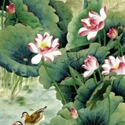琪玲生活