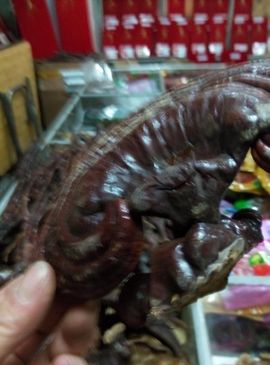 过往皆是浮云主播照片