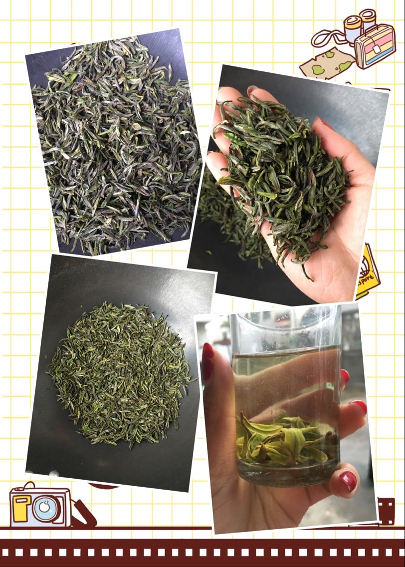 『馨』菇凉的主播照片