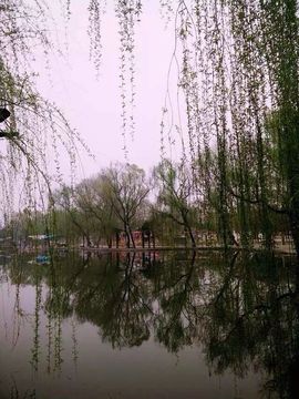 温柔的姑娘！主播照片