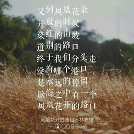时光迟暮，人生不再来主播照片