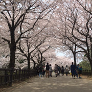 布布.Tokyo