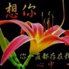 爱在双人床