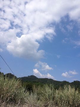 1小女子2主播照片