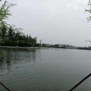 微信_0178071