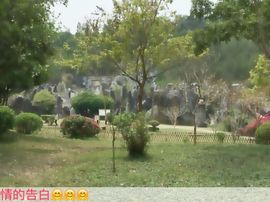 你的冰心回来了主播照片