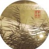 浊酒倾觞的头像