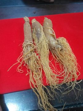 过往皆是浮云主播照片