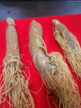 过往皆是浮云主播照片