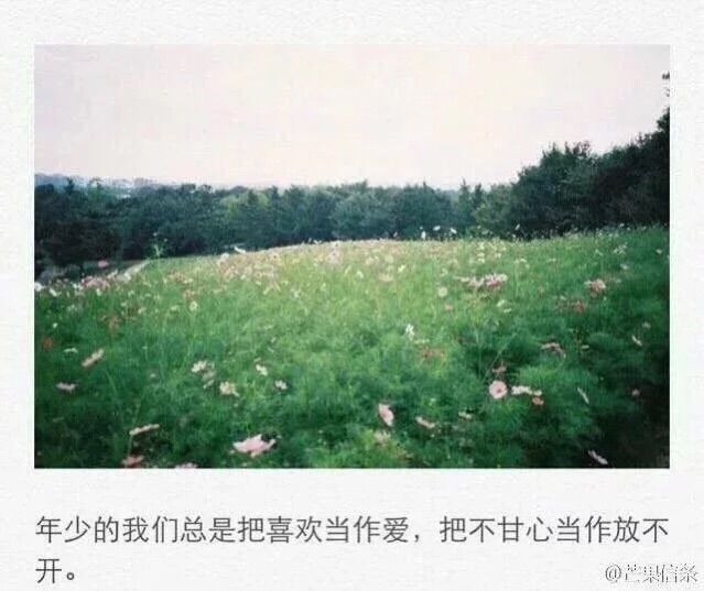 青丘之山有桃花的主播照片
