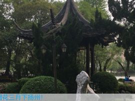 冬寒飞雪、主播照片