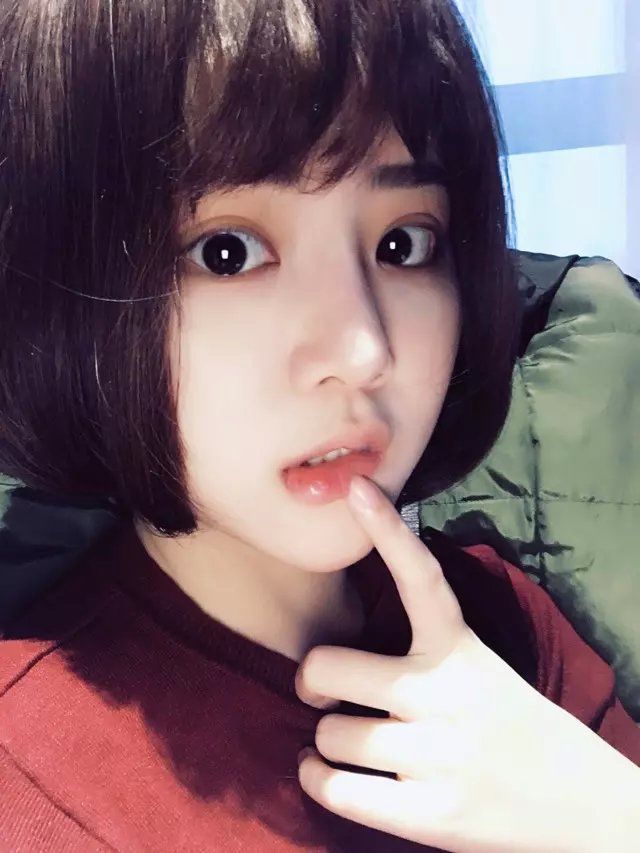 海豚团♪小茜茜的图片