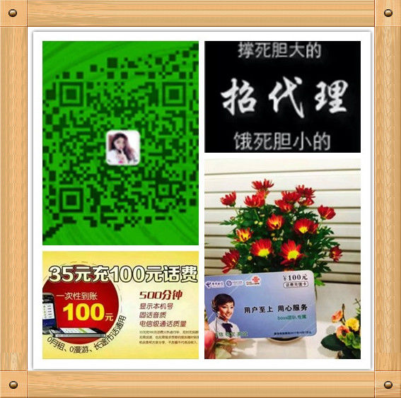 新月非誠勿擾的主播照片