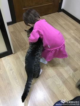 主播有狐臭主播照片