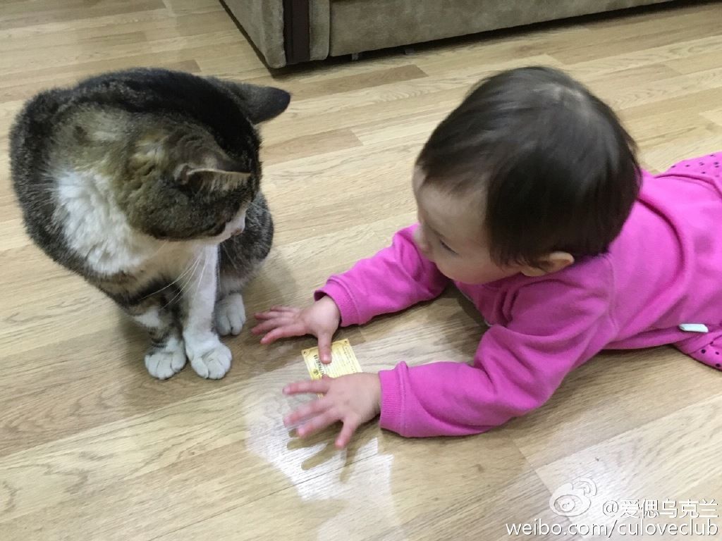 主播有狐臭主播照片