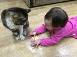 主播有狐臭主播照片
