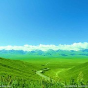微信_1293561