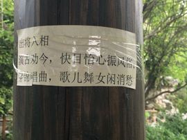 冬寒飞雪、主播照片