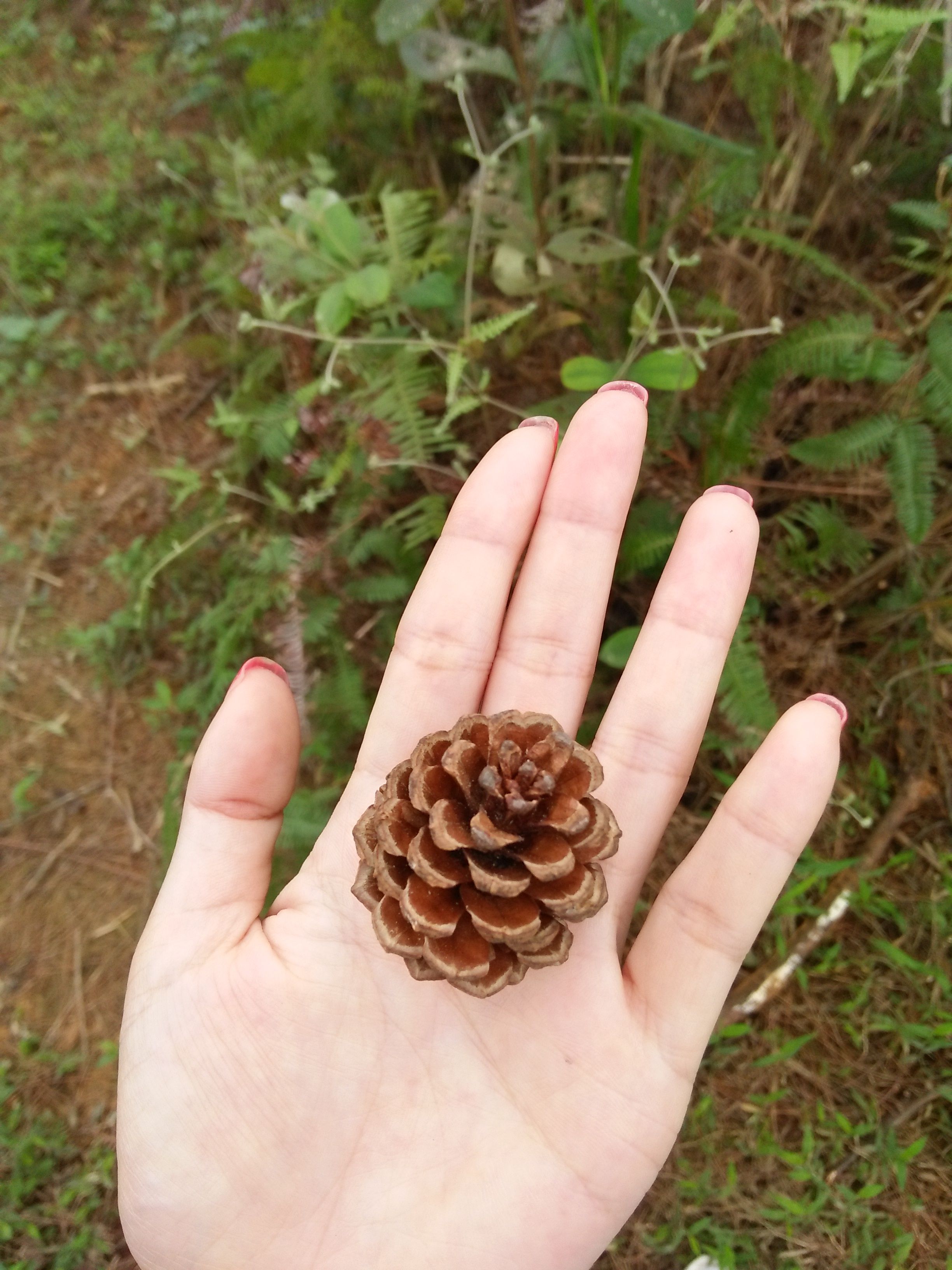 茉伊小乖等你来爱的主播照片