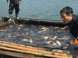 泓一户外主播照片