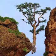 ◑んey，快樂宇人◑海报