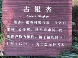 冬寒飞雪、主播照片