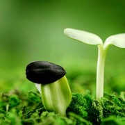 静默等待中海报