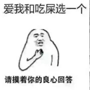 是兔子啊233的头像