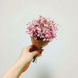 小兜兜❤求守护主播照片