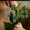 世态炎凉^_^海报