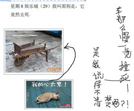 week8l主播照片