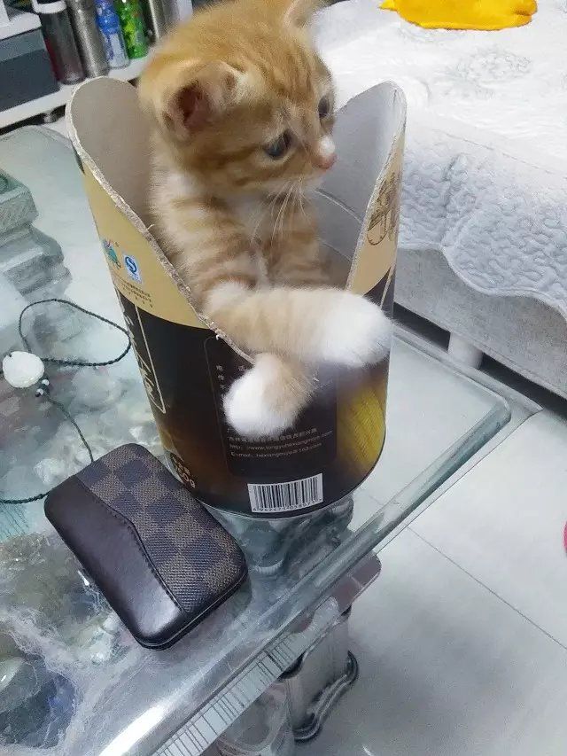 ╭ァ皇朝☀妞哥的主播照片