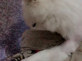 乐文就爱扯淡主播照片