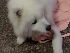 乐文就爱扯淡主播照片