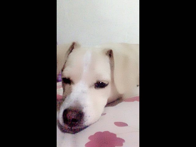 📱宝宝想换手机📱的主播照片
