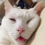 微信_3050786