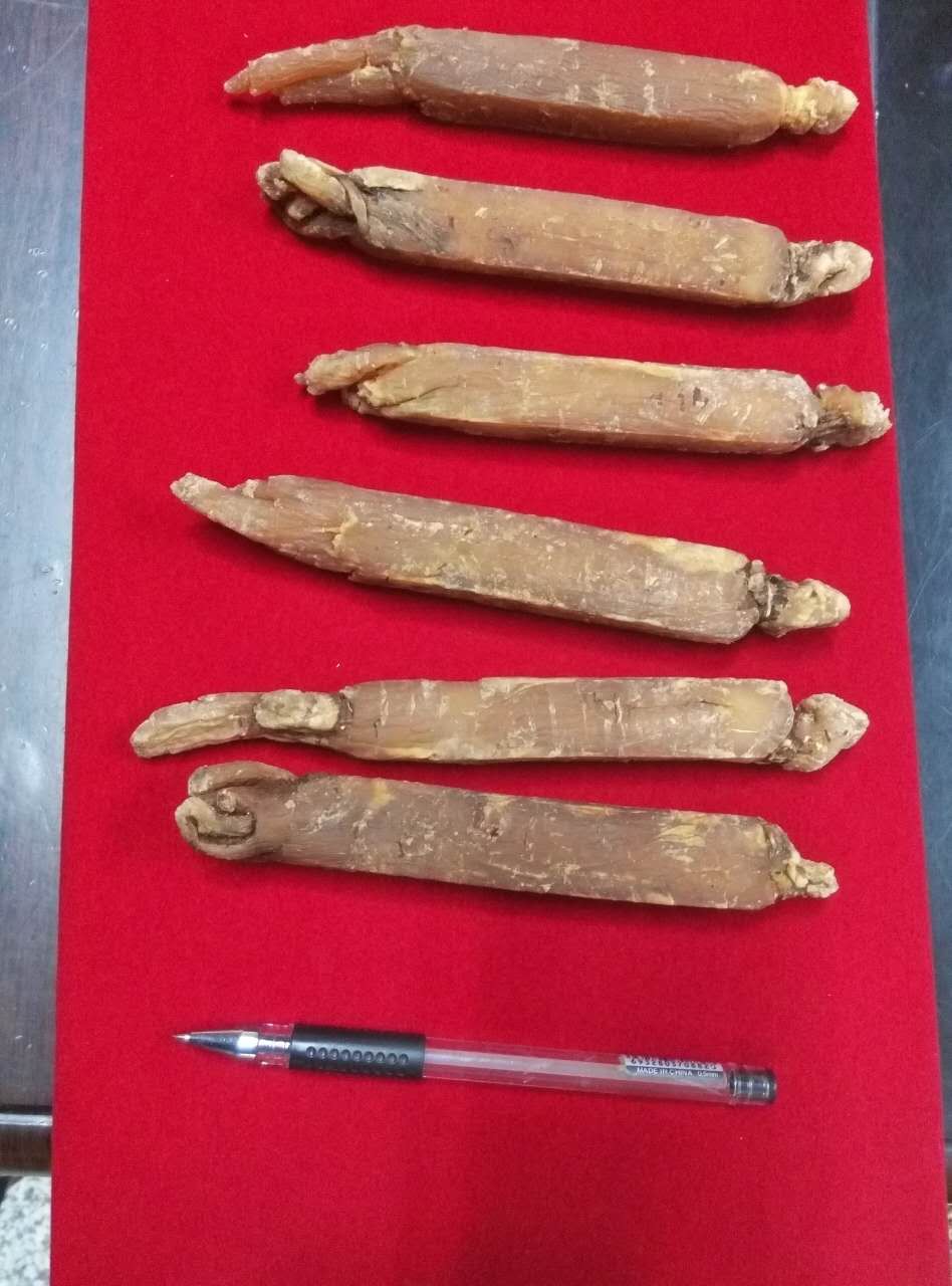 小爽别回头，我是河东的图片