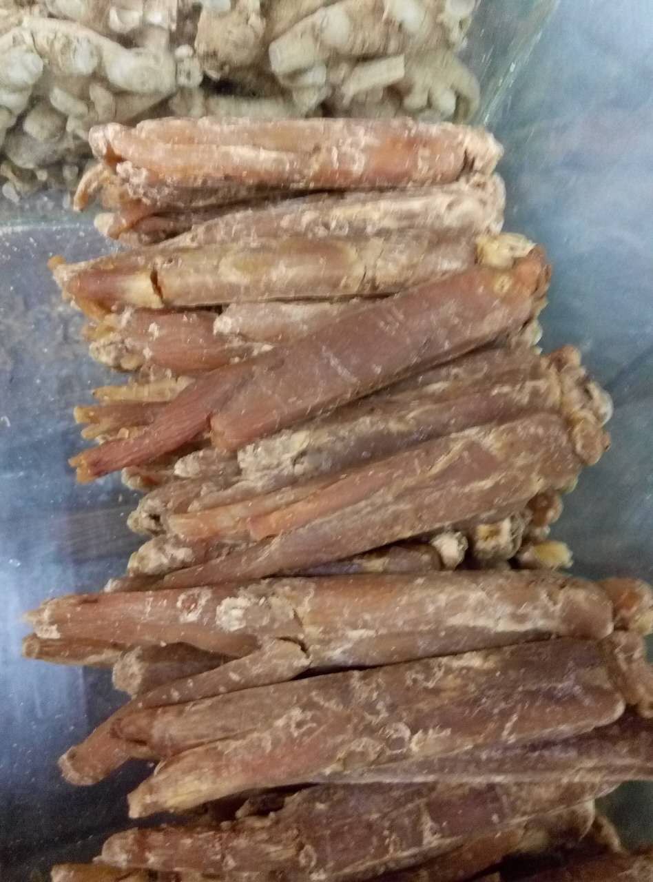 小爽别回头，我是河东的图片