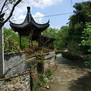 微信168随风海报