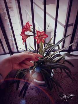 ♛Lucky曦曦主播照片