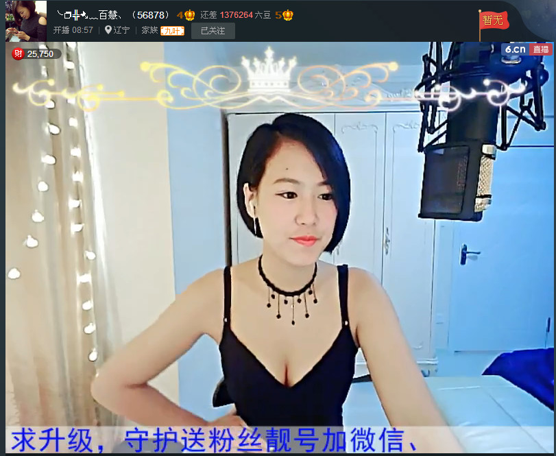 亲切家族的图片