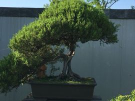 冬寒飞雪、主播照片