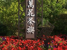 冬寒飞雪、主播照片
