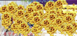 ゞ悠乐★婉儿つ主播照片
