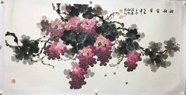 ✨星光不问赶路人💫主播照片
