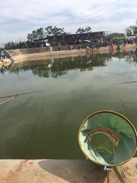 洛C~~主播照片