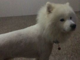 乐文就爱扯淡主播照片